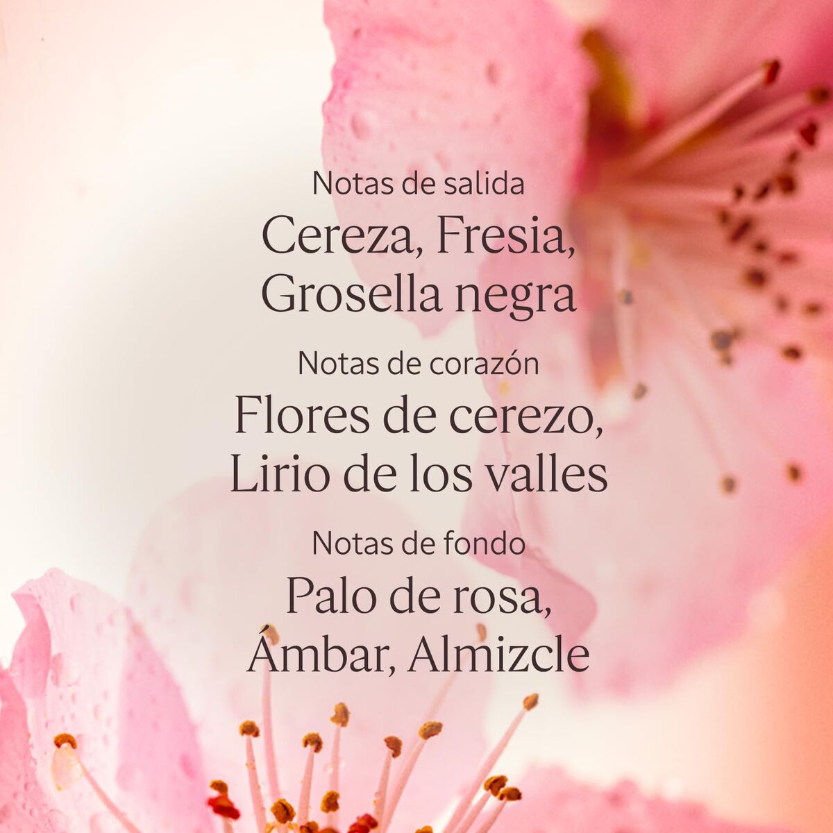 Pink floral background with text in Spanish listing flower names.