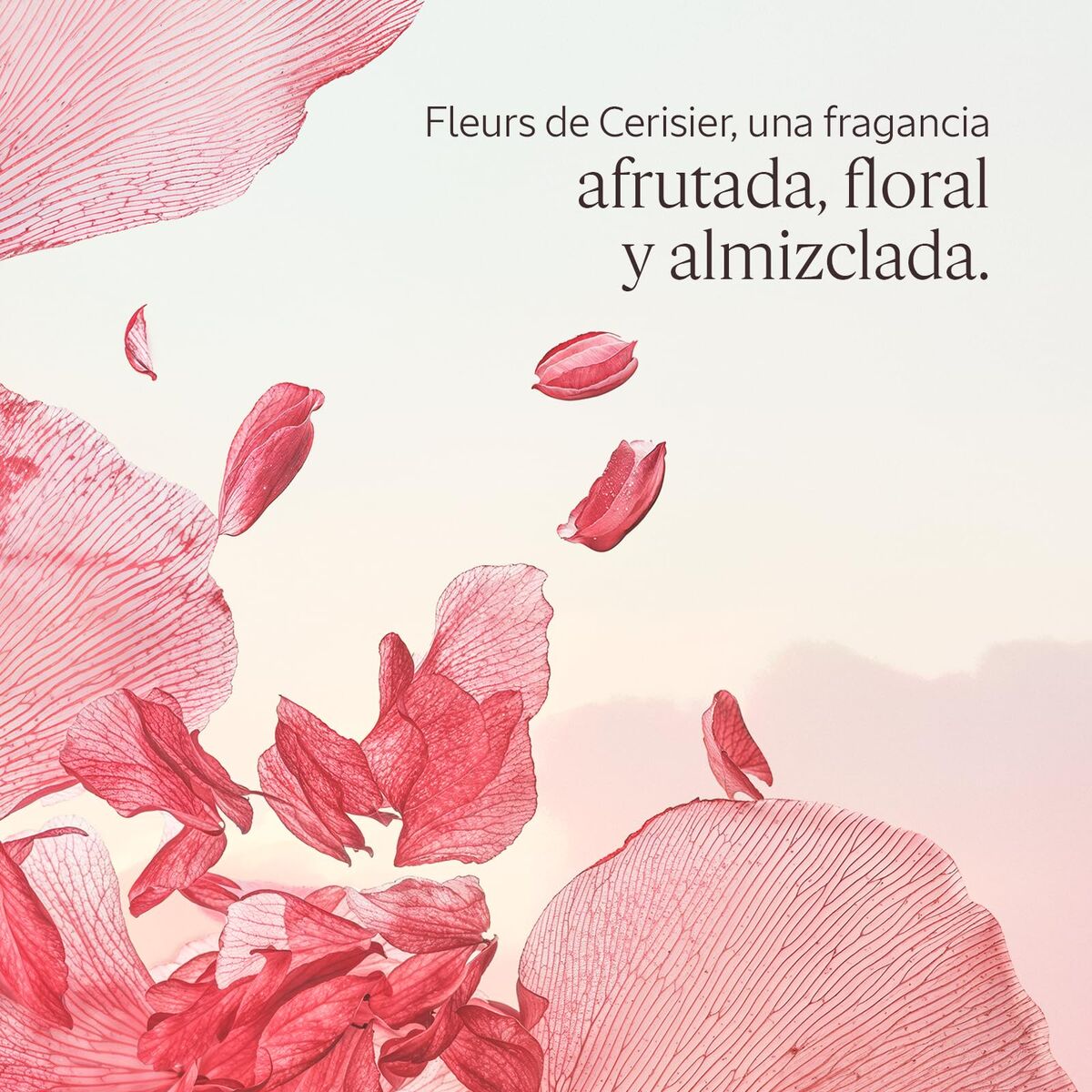 lightweight floral moisturizer with scent