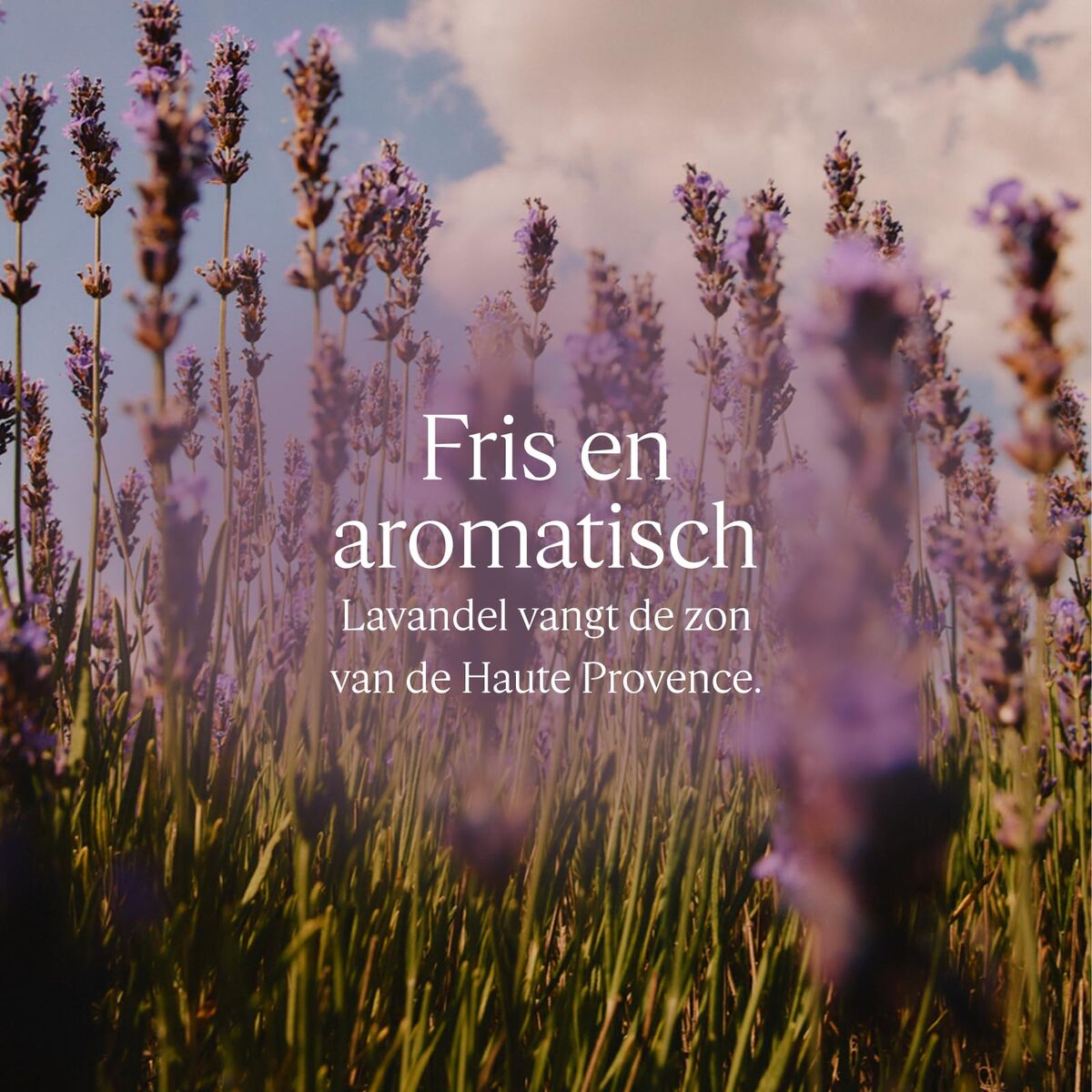 moisturizing shower gel