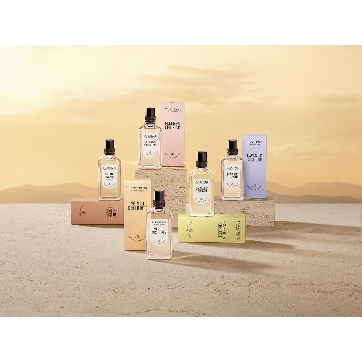 Collection of L'Occitane perfume bottles and packaging on a desert-themed background