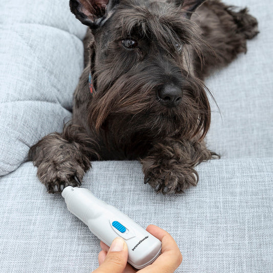 electric pet nail file