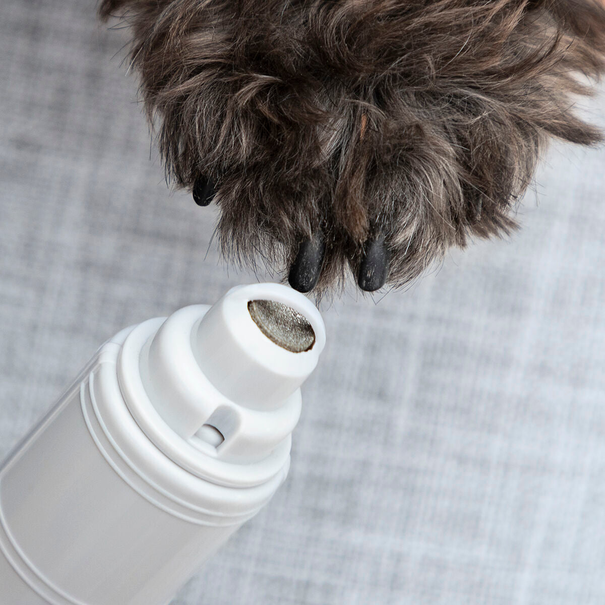 pet grooming tool