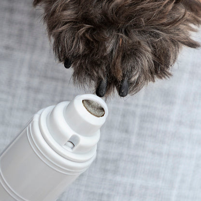 pet grooming tool