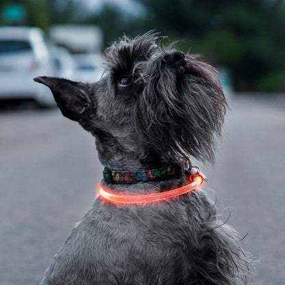 adjustable LED pet collar