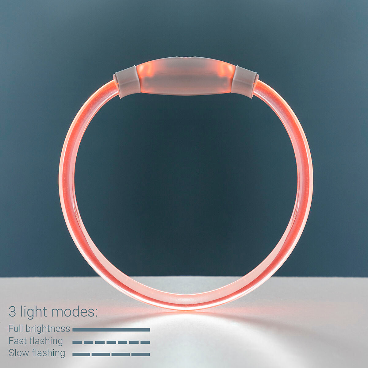 rechargeable LED dog collar