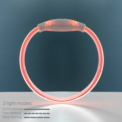 rechargeable LED dog collar