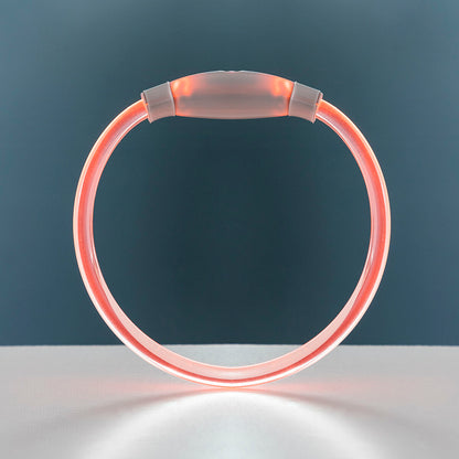 LED Pet Collar – Rechargeable Light Up Safety Collar for Dogs