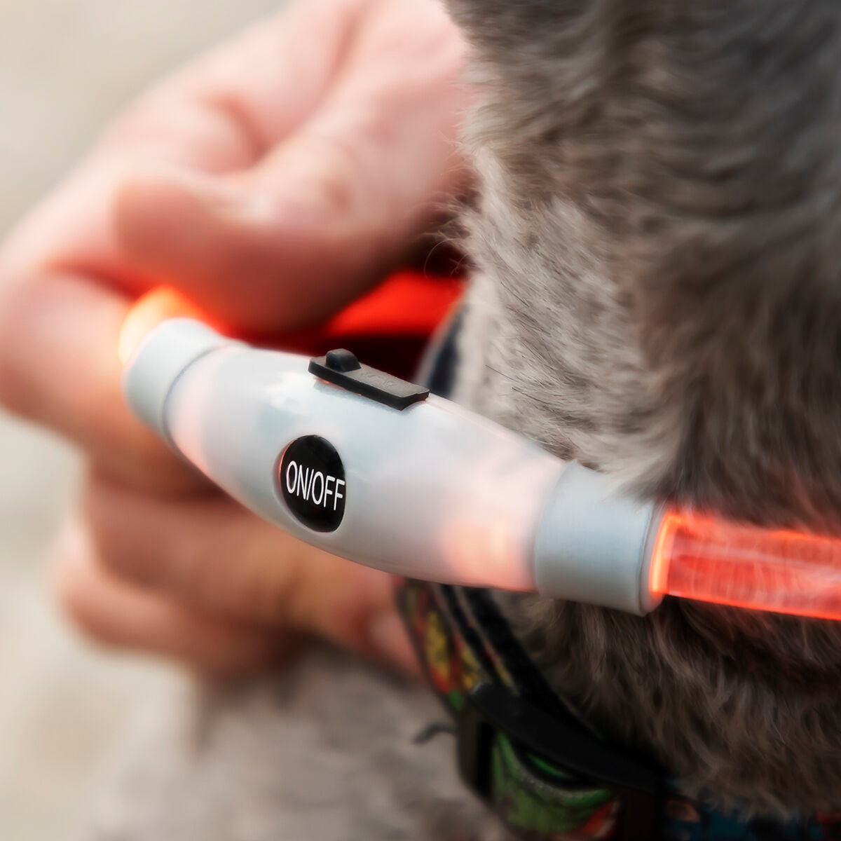 adjustable LED pet collar