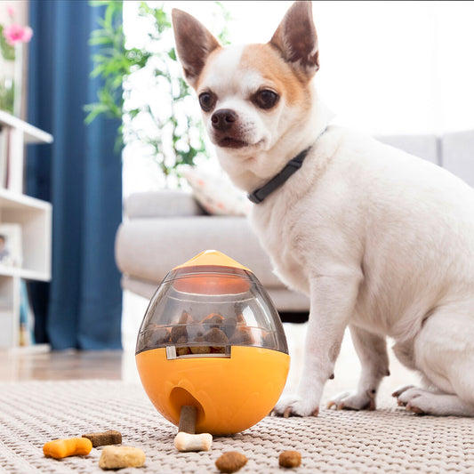 treat dispensing toy for small dogs