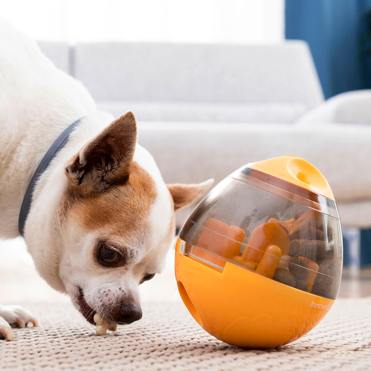 slow feeding dog toy