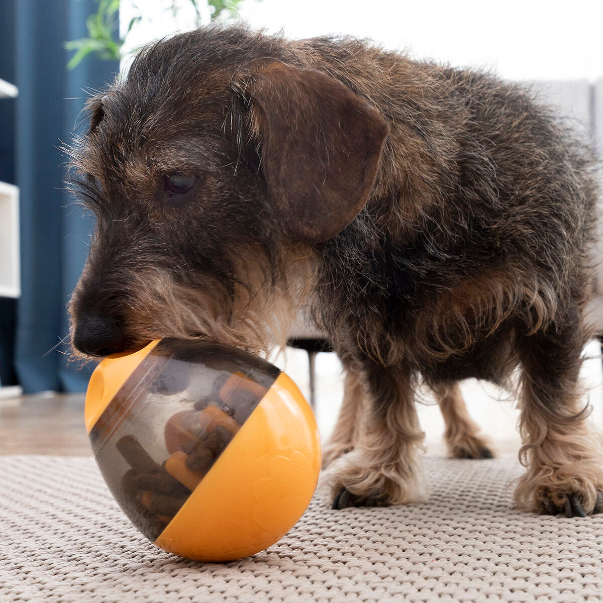 dog treat puzzle toy