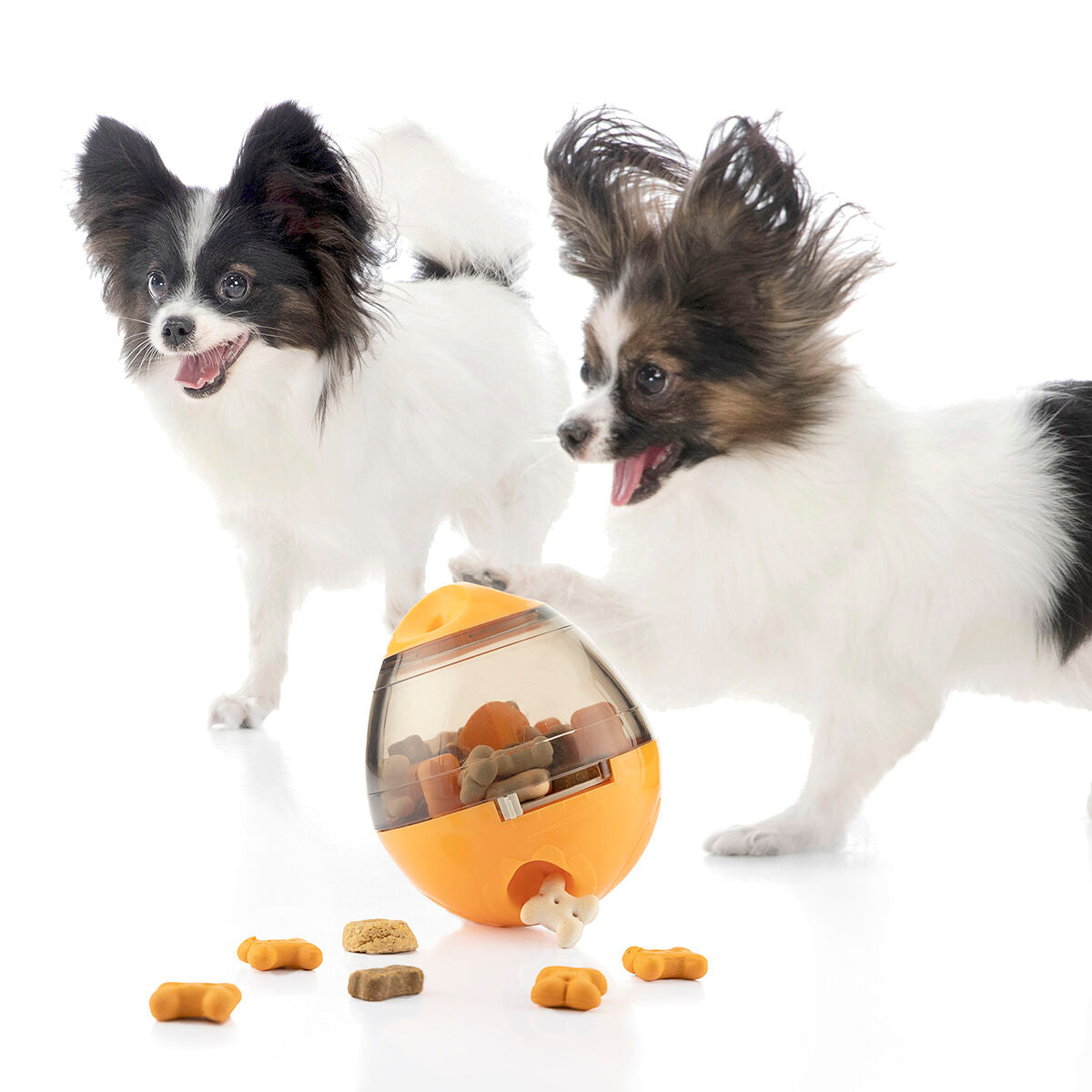 2-in-1 pet toy