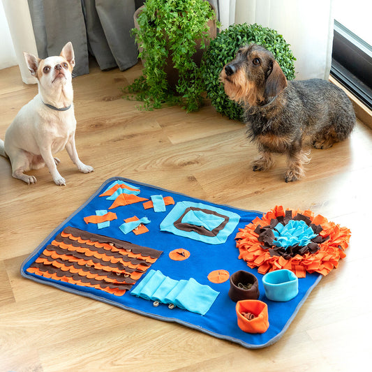dog enrichment toy