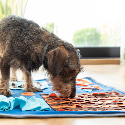 snuffle mat for dogs