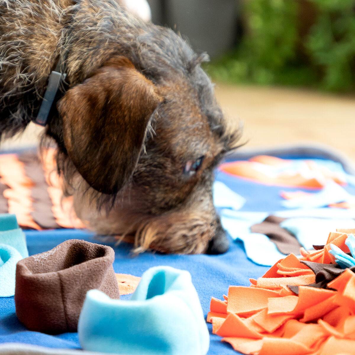 interactive dog feeding mat
