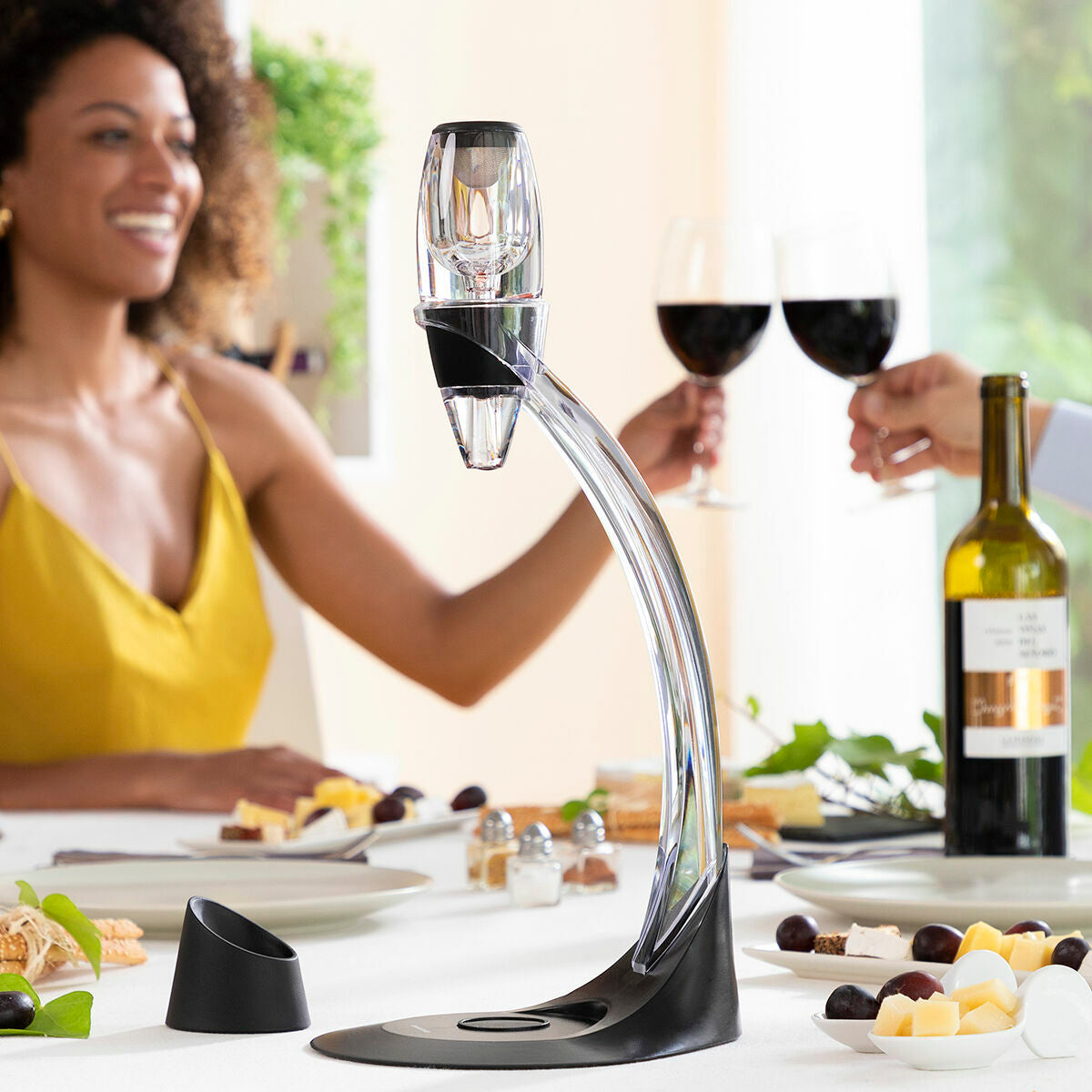 Wine aerator with filter and carry bag