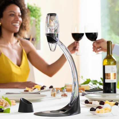 Wine aerator with filter and carry bag