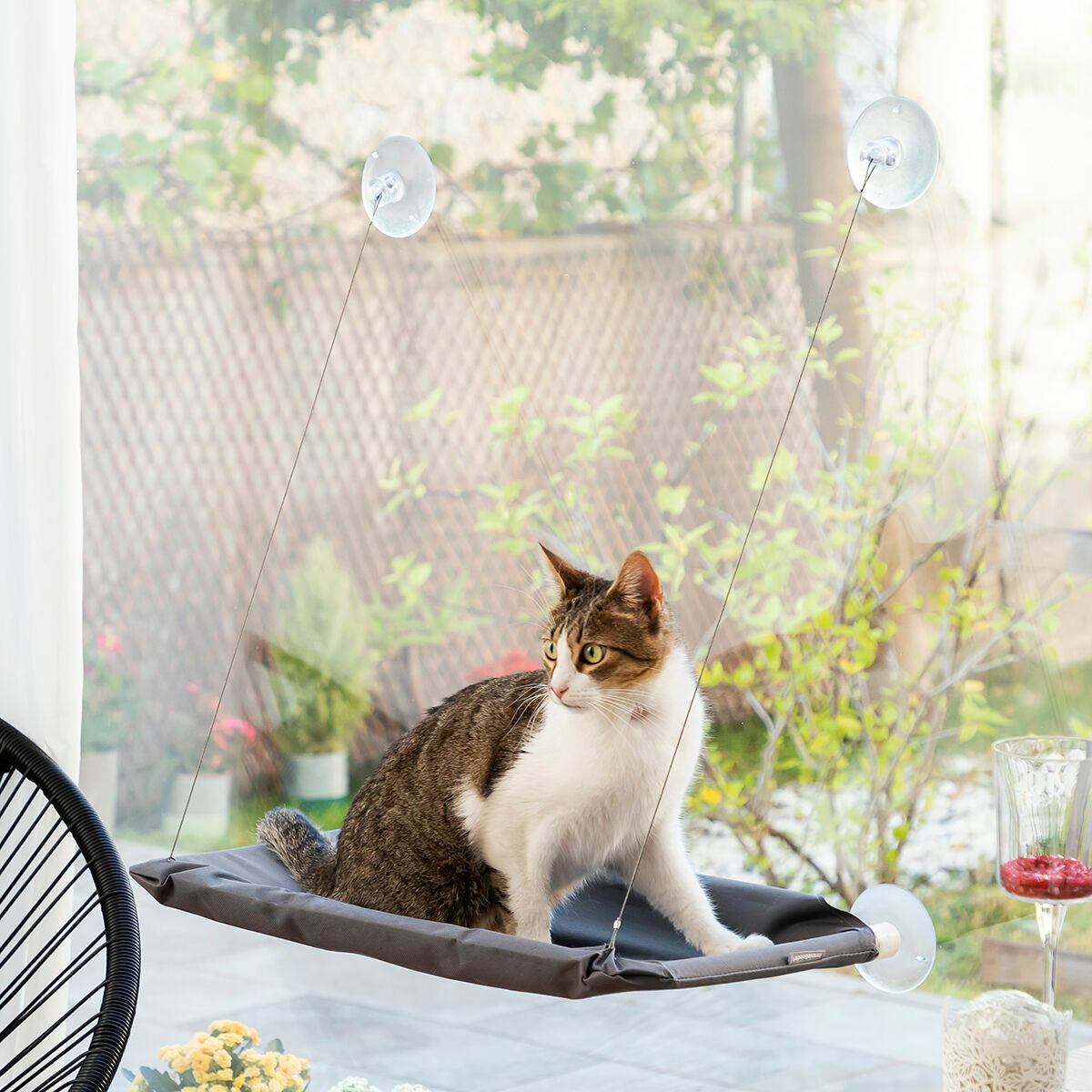 Cat perch hammock