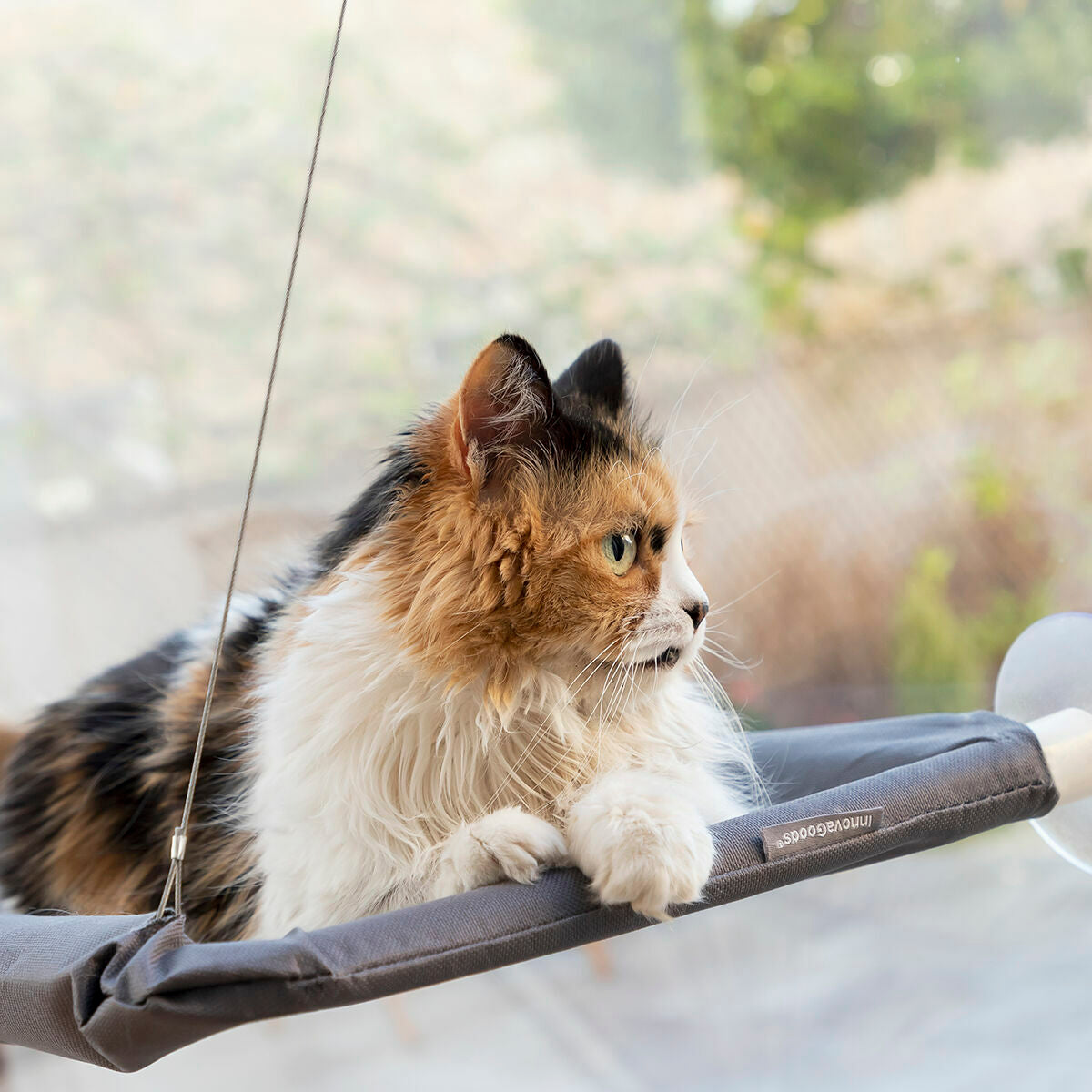 Wall Mount Cat Hammock – Cat Bed Perch & Lounger